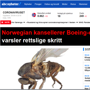 ABC nyheter