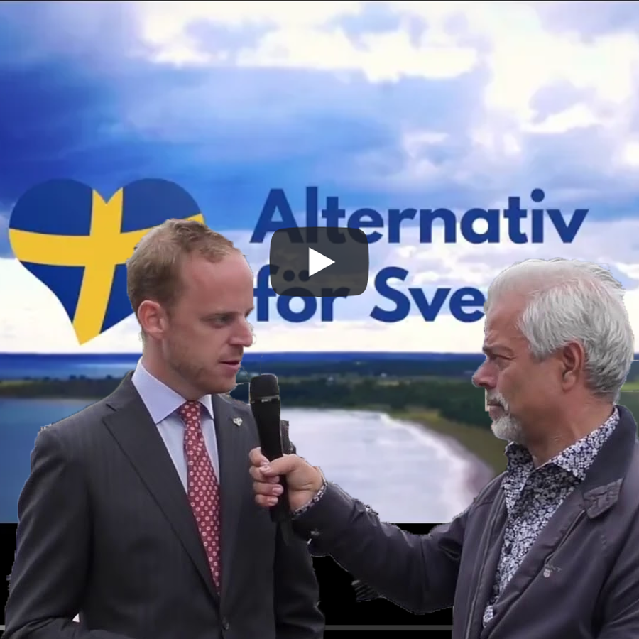 Svenska bloggare